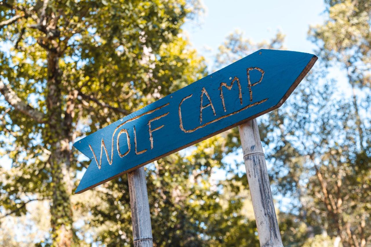 Wolfcamp Surf Moliets Hotel Bagian luar foto